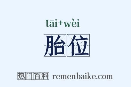 胎位是什么意思的图片